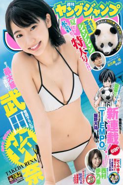 会长是女仆大人漫画结局