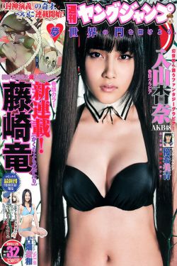 警察荣誉电视剧